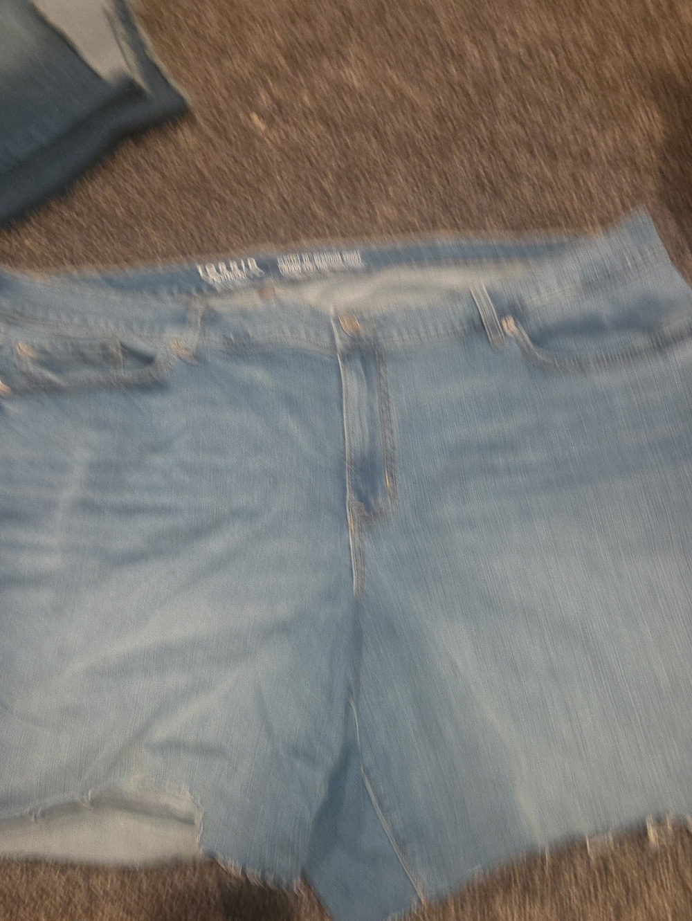 torrid Jean Shorts